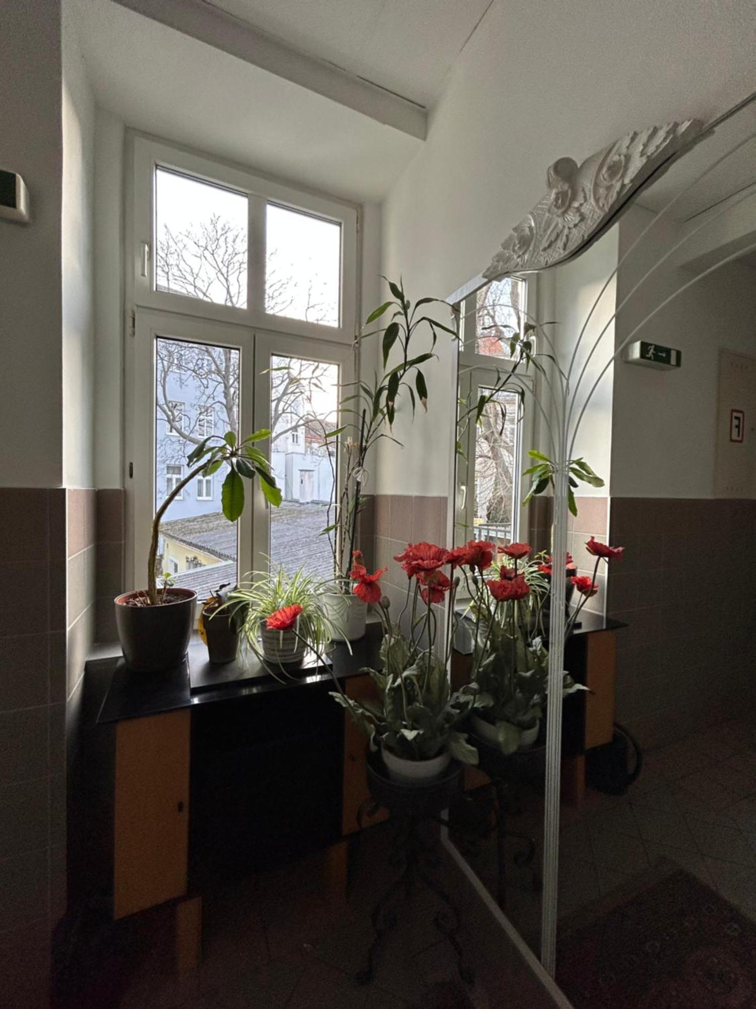 Reiner Apartment Bécs Kültér fotó